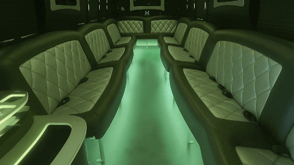 20 passenger party bus interior