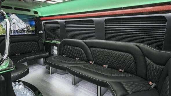 raleigh 14 passenger sprinter limousine interior