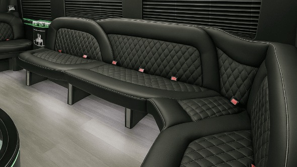 raleigh 15 passenger party bus interior